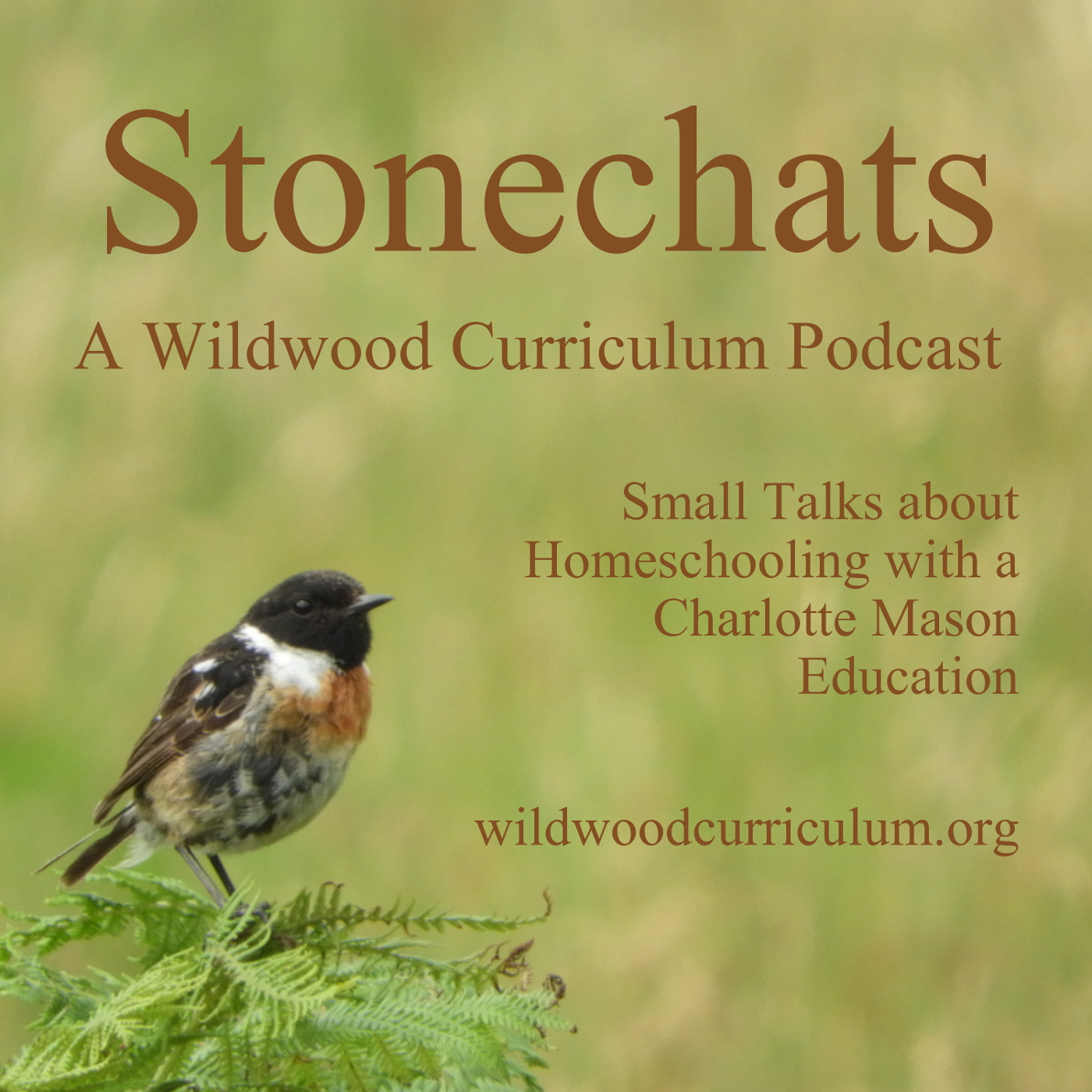 [Stonechats 9] Singing, Solfa and Kodaly with Guest RaeAnna Goss Part 2